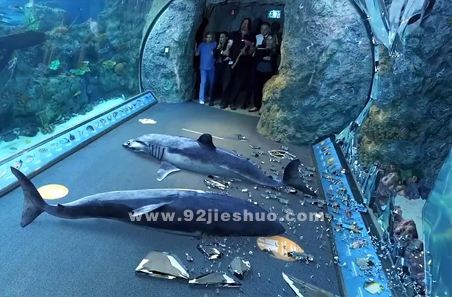 《死亡水族馆》电影解说文案