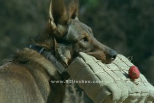 《犬王》电影解说文案