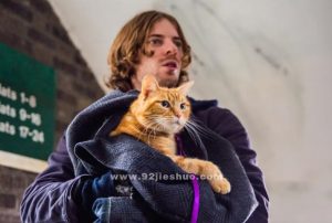 《流浪猫鲍勃》电影解说文案