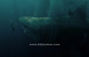 《巨齿鲨》电影解说文案