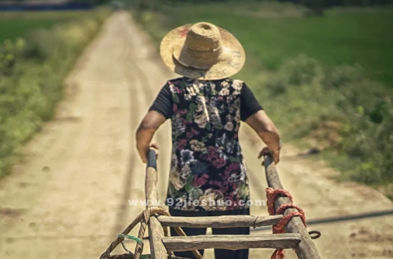 《留夏》电影解说文案