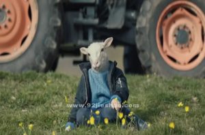 《羊崽》电影解说文案