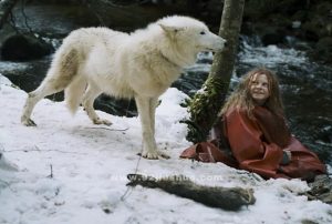 《与狼共存》电影解说文案