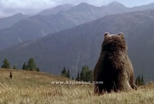 《熊的故事》电影解说文案