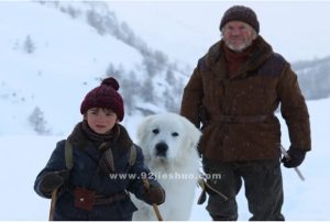 《灵犬雪莉》电影解说文案