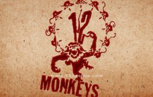 《十二猴子》电影解说文案
