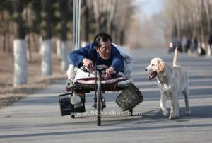 《忠爱无言》电影解说文案