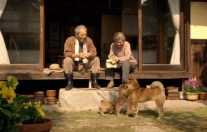 《向日葵与幼犬的7天》电影解说文案