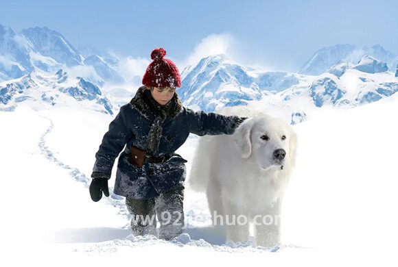 《灵犬雪莉》电影解说文案